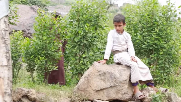 Emlaq sitting on a rock, Yemen