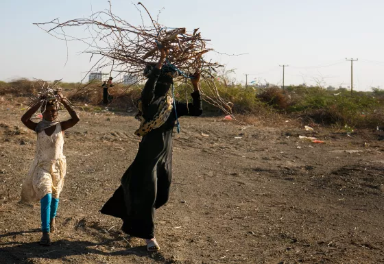 Fatim, 8 years old, carries wood with her mother, Jala, 27 years old, collected for cooking with other displaced people in Yemen.