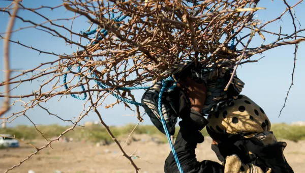 Jala, 27 years old, carries wood she collected for cooking in Yemen.