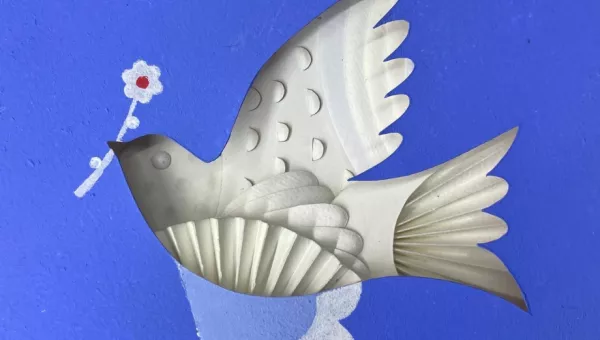Doves For Peace