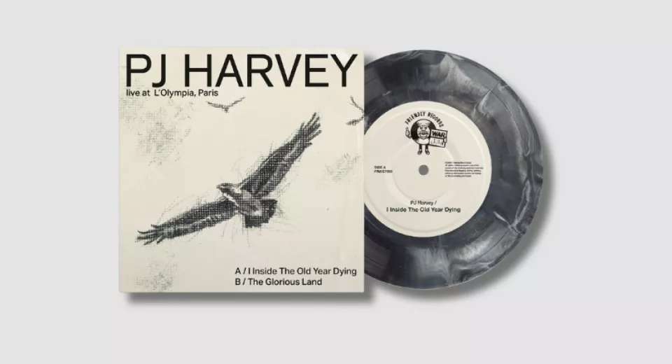 The PJ Harvey Friendly Records x War Child release