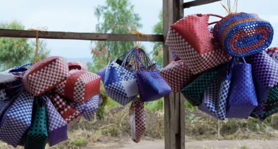 Edisa's baskets that she makes and sells. 