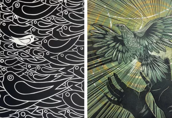 Doves For Peace combined 3