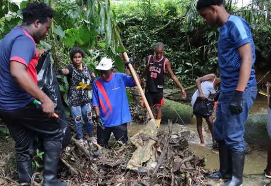 Several People cleaning clogged water stream.